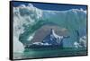 Magnificant Antartica-Art Wolfe-Framed Stretched Canvas