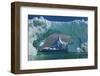 Magnificant Antartica-Art Wolfe-Framed Photographic Print