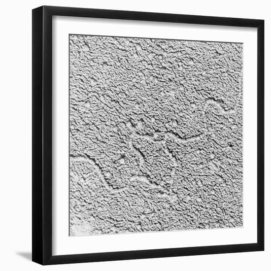 Magnification of Human Genes-David W. Jackson-Framed Photographic Print