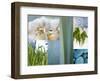 Magnificence In Nature-Sidney Aver-Framed Art Print