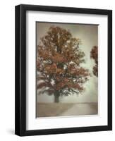 Magnificence-Jai Johnson-Framed Premium Giclee Print