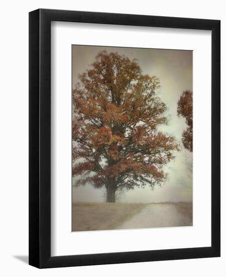 Magnificence-Jai Johnson-Framed Premium Giclee Print