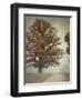 Magnificence-Jai Johnson-Framed Premium Giclee Print