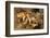 Magnificent Chromodoris-Hal Beral-Framed Photographic Print