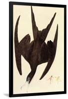 Magnificent Frigate Bird-John James Audubon-Framed Art Print