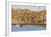 Magnificent Frigatebirds (Fregata Magnificens), San Gabriel Bay, Espiritu Santo Island-Michael Nolan-Framed Photographic Print