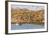 Magnificent Frigatebirds (Fregata Magnificens), San Gabriel Bay, Espiritu Santo Island-Michael Nolan-Framed Photographic Print