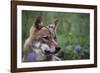 Magnificent Gaze-Staffan Widstrand-Framed Giclee Print