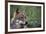 Magnificent Gaze-Staffan Widstrand-Framed Giclee Print