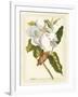 Magnificent Magnolias I-Jacob Trew-Framed Art Print