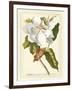 Magnificent Magnolias I-Jacob Trew-Framed Art Print