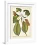 Magnificent Magnolias II-Jacob Trew-Framed Giclee Print