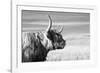 Magnificent Wild - Focus-James Guilliam-Framed Giclee Print