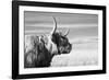 Magnificent Wild - Focus-James Guilliam-Framed Giclee Print