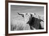 Magnificent Wild - Grace-James Guilliam-Framed Giclee Print