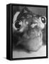 Magnified Frontal Closeup on Bugeyed Head of Fish-null-Framed Stretched Canvas