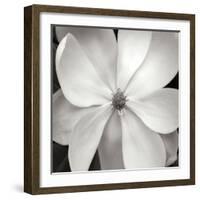 Magnloia III-Jim Christensen-Framed Photographic Print