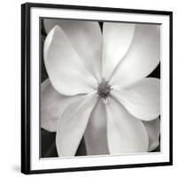 Magnloia III-Jim Christensen-Framed Photographic Print