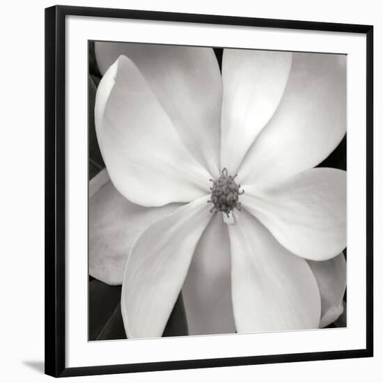 Magnloia III-Jim Christensen-Framed Photographic Print