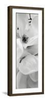 Magnolia 1-Alan Blaustein-Framed Photographic Print