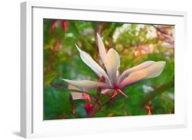 Magnolia, 2018,-Helen White-Framed Giclee Print