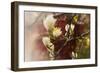 Magnolia, 2018,-Helen White-Framed Giclee Print