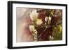 Magnolia, 2018,-Helen White-Framed Giclee Print