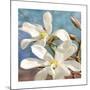Magnolia 2-Leda Robertson-Mounted Giclee Print