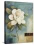Magnolia Abstract I-Lisa Audit-Stretched Canvas