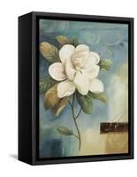 Magnolia Abstract I-Lisa Audit-Framed Stretched Canvas