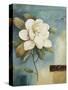 Magnolia Abstract I-Lisa Audit-Stretched Canvas