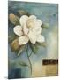 Magnolia Abstract I-Lisa Audit-Mounted Giclee Print