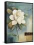 Magnolia Abstract I-Lisa Audit-Framed Stretched Canvas