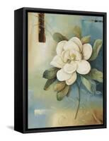 Magnolia Abstract II-Lisa Audit-Framed Stretched Canvas