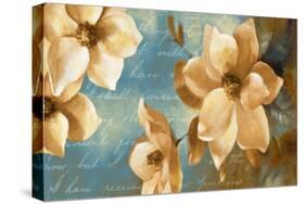 Magnolia Aglow I-Lanie Loreth-Stretched Canvas