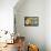 Magnolia Aglow II-Lanie Loreth-Framed Stretched Canvas displayed on a wall