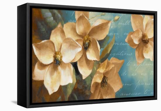 Magnolia Aglow II-Lanie Loreth-Framed Stretched Canvas