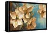 Magnolia Aglow II-Lanie Loreth-Framed Stretched Canvas
