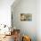 Magnolia Aglow II-Lanie Loreth-Stretched Canvas displayed on a wall