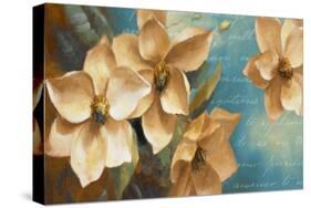 Magnolia Aglow II-Lanie Loreth-Stretched Canvas