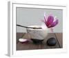 Magnolia and Bowl-Amelie Vuillon-Framed Art Print