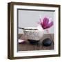 Magnolia and Bowl-Amelie Vuillon-Framed Art Print