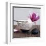 Magnolia and Bowl-Amelie Vuillon-Framed Art Print