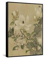 Magnolia and Butterfly-null-Framed Stretched Canvas