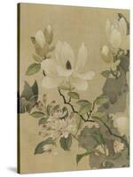 Magnolia and Butterfly-null-Stretched Canvas