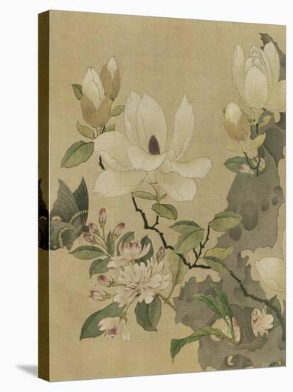 Magnolia and Butterfly-null-Stretched Canvas