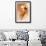 Magnolia and Cream I-Richard Sutton-Framed Premium Giclee Print displayed on a wall