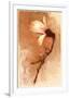 Magnolia and Cream I-Richard Sutton-Framed Premium Giclee Print