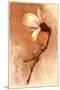 Magnolia and Cream I-Richard Sutton-Mounted Premium Giclee Print