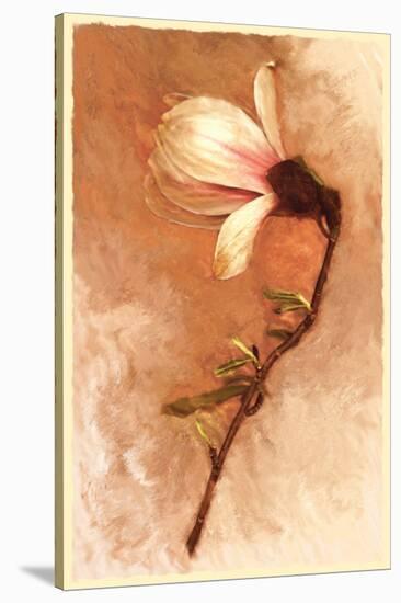 Magnolia and Cream I-Richard Sutton-Stretched Canvas